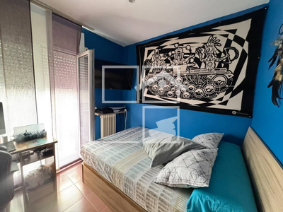 Local en Olot Girona
